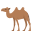 :1f42b: