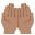 :1f932-1f3fd: