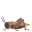 :1f997: